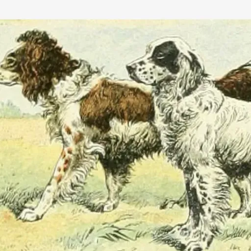 S8 Ep787: 3 HEADLINE: Reproduction, Social Intelligence, and Lifespan in a Self-Sustaining World GUESTS: Jessica Pierce and Mark Bekoff SUMMARY: Reproduction will shift toward a communal approach where male dogs and "alloparents"—such as aunts, uncles, and older si