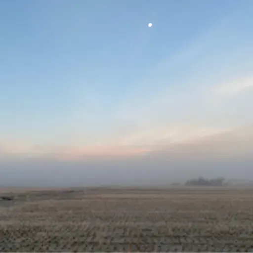 朝ラン0℃。霧の朝とスペインで生まれたナショナルレコードと好きな女性タレントベストテン⑩。#1706 from Radiotalk