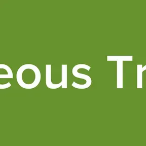 Simultaneous Translation