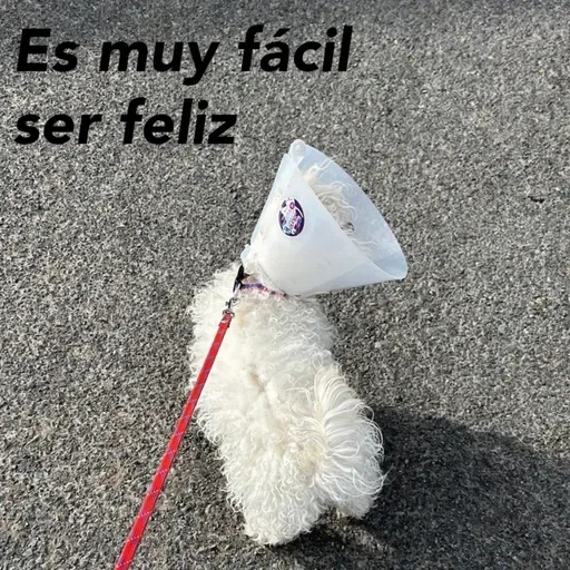 Ejercicio y ser constante, enfoque en el trabajo y mandarlo a la verga cuando salgas, pequeñas cosas de la vida que me hacen feliz, película viejita pero buena, disfruta el fin de semana.