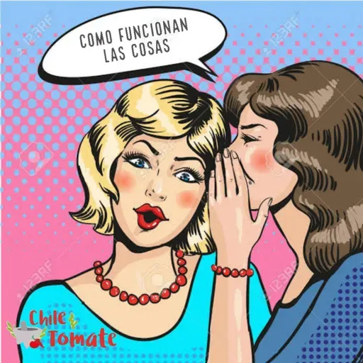 COMO FUNCIONAN LAS COSAS