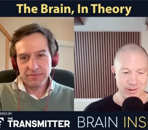 BI 235 Romain Brette: The Brain, in Theory