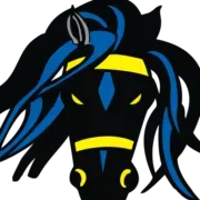 The Outlaw