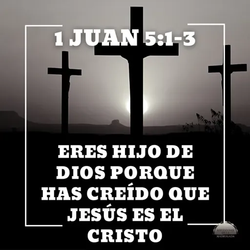 1 Juan 5:1-3 - Eres hijo de Dios porque has creído que Jesús es el Cristo | Devocional cristiano diario