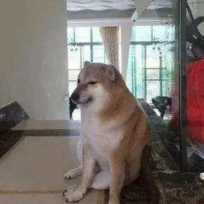 VRiety