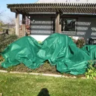 How to Protect Your Fruit Trees When a Frost or Freeze is Forecast