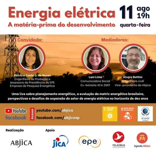 Energia Elétrica - A matéria -prima do desenvolvimento