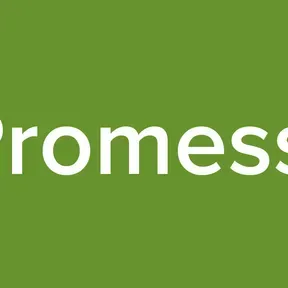 Radio  Promessas Web