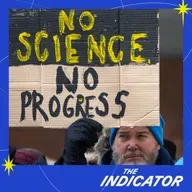 American science brain drain