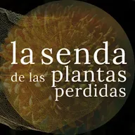 Historia de dos flores de muerto: Tagetes erecta y Chrysanthemum sp. {SPP 083}