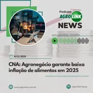 Exportações de café caem, mas receita cresce em novembro