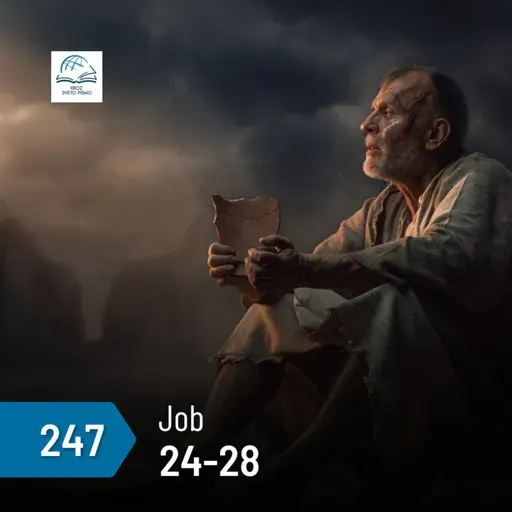 Job 24-28