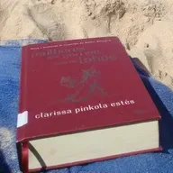 Mulheres que correm com os lobos- Clarissa.P- “A procura da curandeira, a escalada da montanha.”