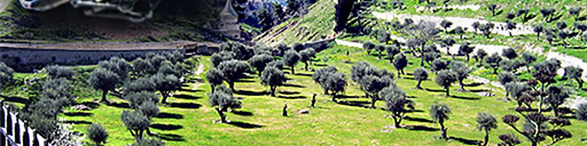 Monte das Oliveiras