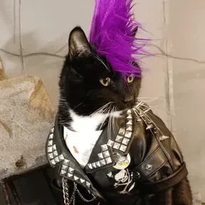 Punk Love