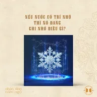 #224 Nếu nước có trí nhớ, thì nó đang ghi nhớ điều gì? | Nhân sinh cảm ngộ