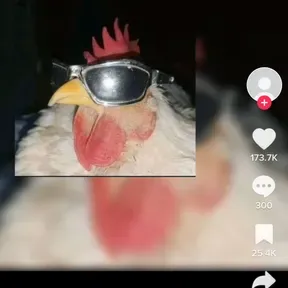 Euebdidbd