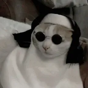 catarina