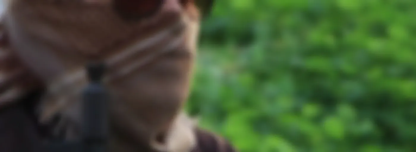 القران الكريم للمجاهدين