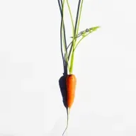 What's Up Doc? (Ep. 19)