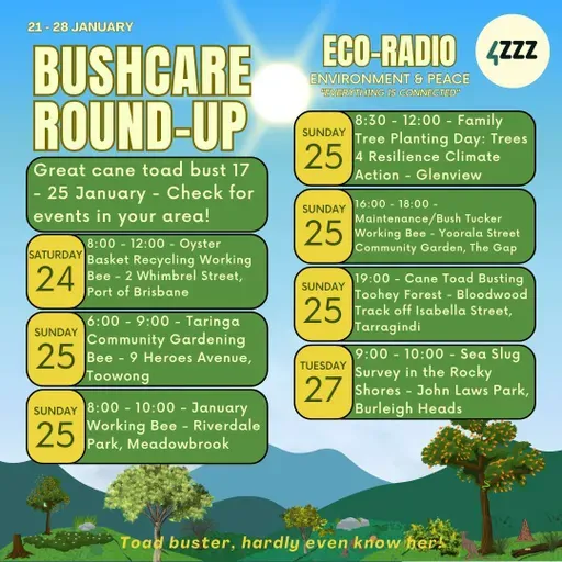 New Economy Network Australia
