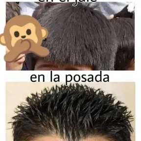 Corridos