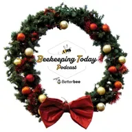 Holiday Special with Jim Tew - The Promise of Bees (365)