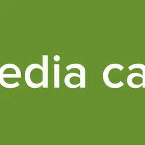 Media cast