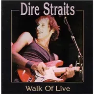 Walk Of Life De Dire Straits