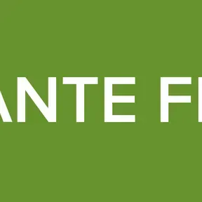 DIAMANTE FM 1001
