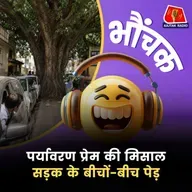 MP: बिना पेड़ हटाए बना दी सड़क, इंजीनियर को ढूंढ रहे लोग | भौंचक