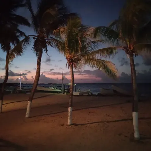 ¡Si hay tiempo para todo!