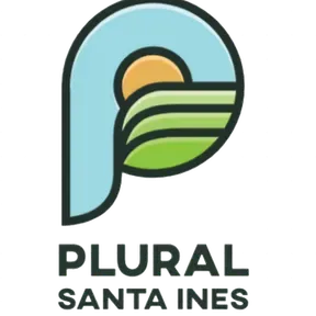 Plural