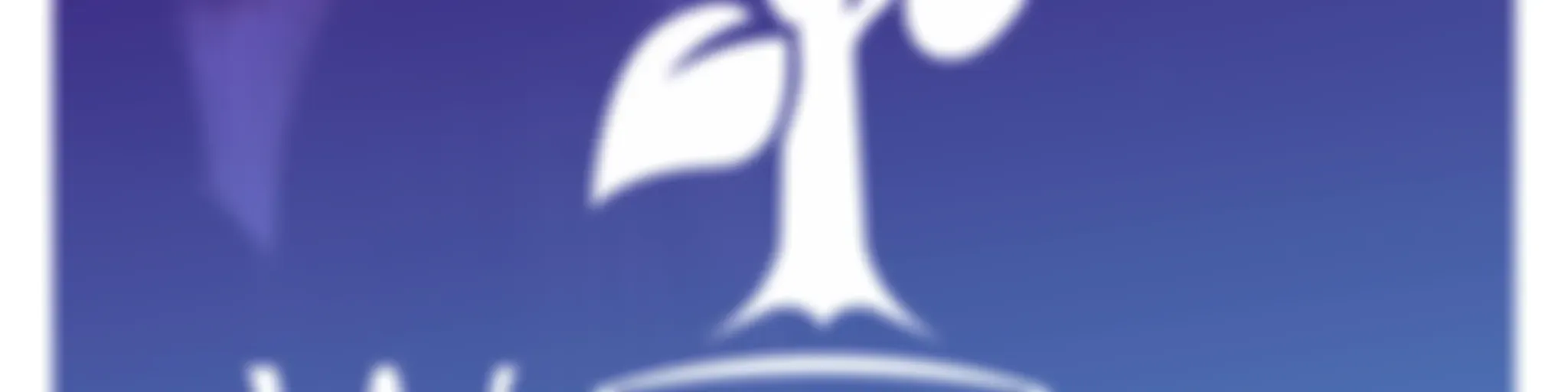 Wawasee Bible Podcast