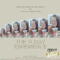 #17_SRPV8DIAMONDS - My Quick Overview '6 DAY EXPERIENCE By Stella Jane Penn