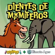 Dientes de mamíferos