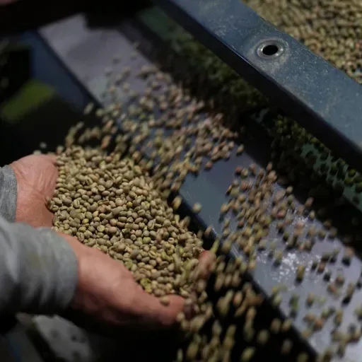 Developing PFAS regulations, Ongoing confusion over tariffs, Helping seniors write about their lives