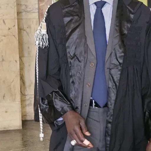 AVV.PAP NDIAYE à propos de notre pyramide de l'integration.
