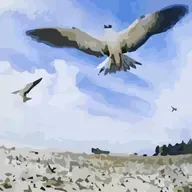 Masayoshi Takanaka "Seychelles"