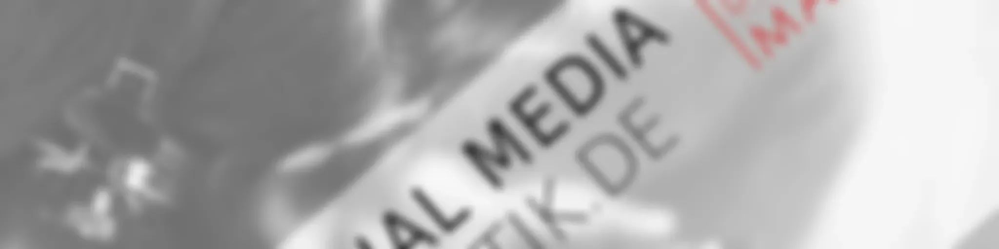 #Onlinegeister - DER SocialMediaStatistik-Podcast