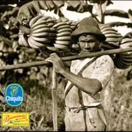 La platanera que controlaba países