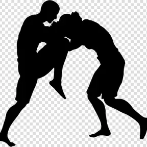 Hawick Fight Club