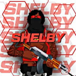 Shelegbv