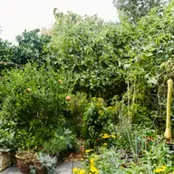 Blue Dot: Permaculture; A Permanent Culture for People and all the inhabitants of the Planet