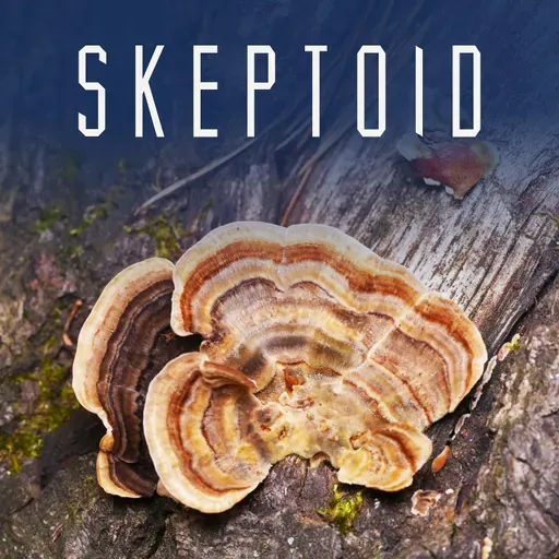 Skeptoid #986: Do Functional Mushrooms Function?