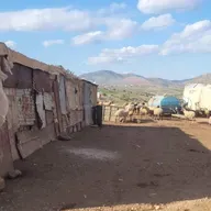 Palestinians see Israel's new West Bank security wall cutting off their farmland