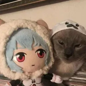 el momo