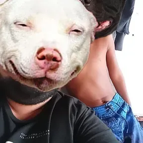 Desmantelo