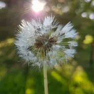 Nuevo Enfoque Educativo.