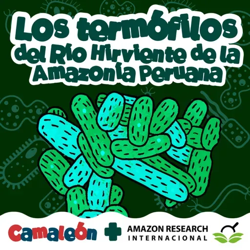 Termófilos: los microbios que aman el calor